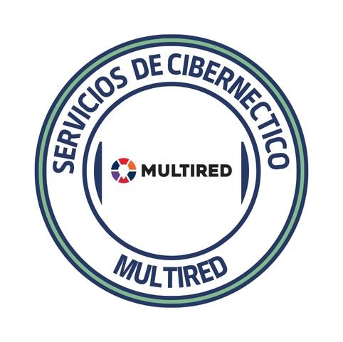 servicios de cibernectico